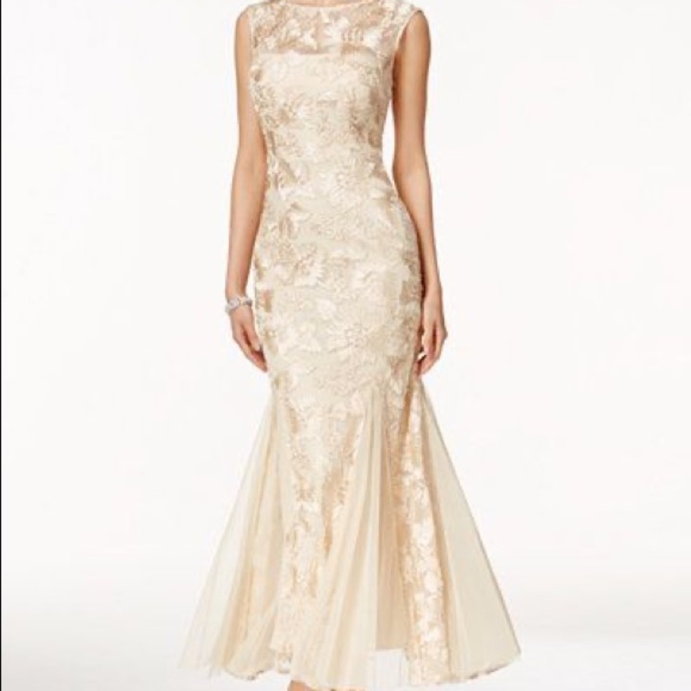 Alex Evenings Mesh Appliqué Evening Dress